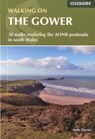 Walking on Gower - Andy Davies - 9781852848217
