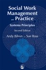 Social Work Management and Practice - Sue Ross ; Andy Bilson - 9781853023880