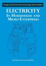 Electricity in Households and Microenterprises - Joy Clancy - 9781853395017