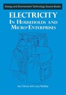 Electricity in Households and Microenterprises - Joy Clancy - 9781853395017