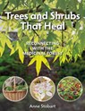 Trees and Shrubs that Heal - Anne Stobart - 9781856232623