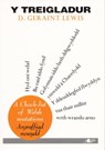 Treigladur, Y - A Check-List of Welsh Mutations (Argraffiad Newydd) - D. Geraint Lewis - 9781859024805