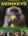 Exploring Nature: Monkeys - Jackson Tom - 9781861474971