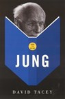 How To Read Jung - David Tacey - 9781862077263