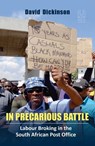 In Precarious Battle - David Dickinson - 9781869144685
