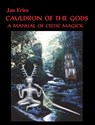 Cauldron of The Gods - Jan Fries - 9781869928704