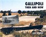 Gallipoli - Steve Newman - 9781870067294
