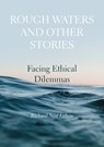 Rough Waters and Other Stories - Richard Ned Lebow - 9781871891379