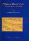 Aramaic Documents from Ancient Bactria - Joseph Naveh ; Shaul Shaked - 9781874780748