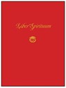 Liber Spirituum: Book of Spirits (Being the Grimoire of Paul Huson) - Paul Huson - 9781881098737