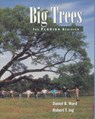 Big Trees - Daniel B. Ward ; Robert T. Ing - 9781885258069
