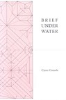 Brief Under Water - CONSOLE,  Cyrus - 9781886224872