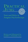 Practical Jung - Harry a Wilmer - 9781888602777