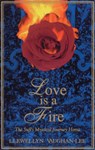 Love Is a Fire: The Sufi's Mystical Journey Home - Llewellyn Vaughan-Lee - 9781890350031