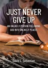 Just Never Give Up - David L. Sebastian - 9781891314223