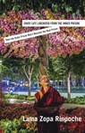 Enjoy Life Liberated From the Inner Prison - Lama Zopa Rinpoche - 9781891868900