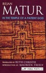 In the Temple of a Patient God - Bejan Matur - 9781900072960