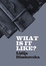 What Is It Like? - Lidija Dimkovska - 9781903110829