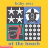 Baby Sees Bath Book: At the Beach - Chez Picthall - 9781905503377