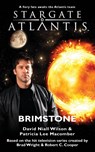 Stargate Atlantis: Brimstone - David Niall Wilson ; Patricia Macomber - 9781905586202