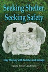 Seeking Shelter, Seeking Safety - Lynne Souter-Anderson - 9781906289478