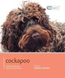 Cockapoo - Dog Expert -  - 9781906305857