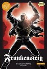 Frankenstein The Graphic Novel - Mary Wollstonecraft Shelley - 9781906332150