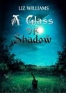 A Glass of Shadow - Liz Williams - 9781907069895