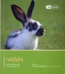 Rabbit - Pet Friendly - Anne Mcbride - 9781907337055