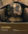 Tortoise - Pet Expert - Lance Jepson - 9781907337147