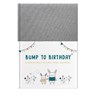 Bump to Birthday - Helen Stephens - 9781907860942