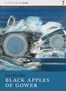 Black Apples of Gower - Iain Sinclair - 9781908213457