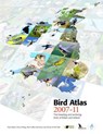 Bird Atlas 2007-11 - Dawn Balmer ; Simon Gillings ; Brian Caffrey ; Bob Swann - 9781908581280
