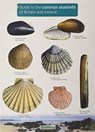 Guide to the Common Seashells of Britain and Ireland - Chris Field Studies Council - 9781908819062
