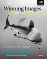 Winning Images with Any Underwater Camera - Paul Colley - 9781909455047