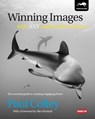 Winning Images with Any Underwater Camera - Paul Colley - 9781909455047