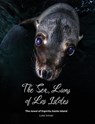 The Sea Lions of Los Islotes - Luke Inman - 9781909455498