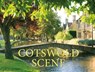 Cotswold Scene - Chris Andrews ; Fiona Danks - 9781909759442