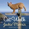 Cat Walk - Jackie Morris - 9781909823273