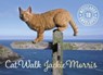 Cat Walk Notecards -  - 9781909823402