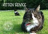 Kitten Advice Notecards - COX,  Tom - 9781909823877