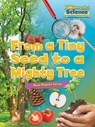 From a Tiny Seed to a Mighty Tree - Ruth Owen - 9781910549773