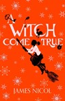 A Witch Come True - James Nicol - 9781910655986