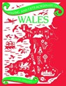 Wales - Alison Jenkins - 9781910821329
