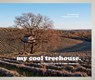 my cool treehouse - Field-Jane Lewis - 9781911216438