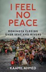I Feel No Peace - Kaamil Ahmed - 9781911723929
