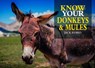 Know Your Donkeys & Mules - Jack Byard - 9781912158560