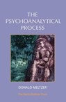 The Psychoanalytical Process - Donald Meltzer - 9781912567409