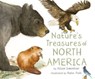 Nature's Treasures of North America - Alison Limentani - 9781912757886