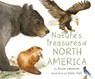 Nature's Treasures of North America - Alison Limentani - 9781912757886